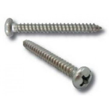 6 X 16 SELF TAPPING SCREW S/S PACK 100