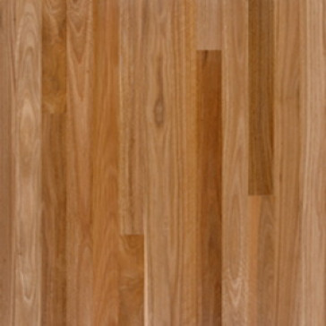 80 X 19 T&G SELECT QLD SPOTTED GUM FLOORING