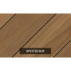 145 X 21 PIONEER SPOTTED GUM - GROOVED *
