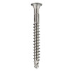 65 X 12g T25 S/S DECK SCREW 250pk