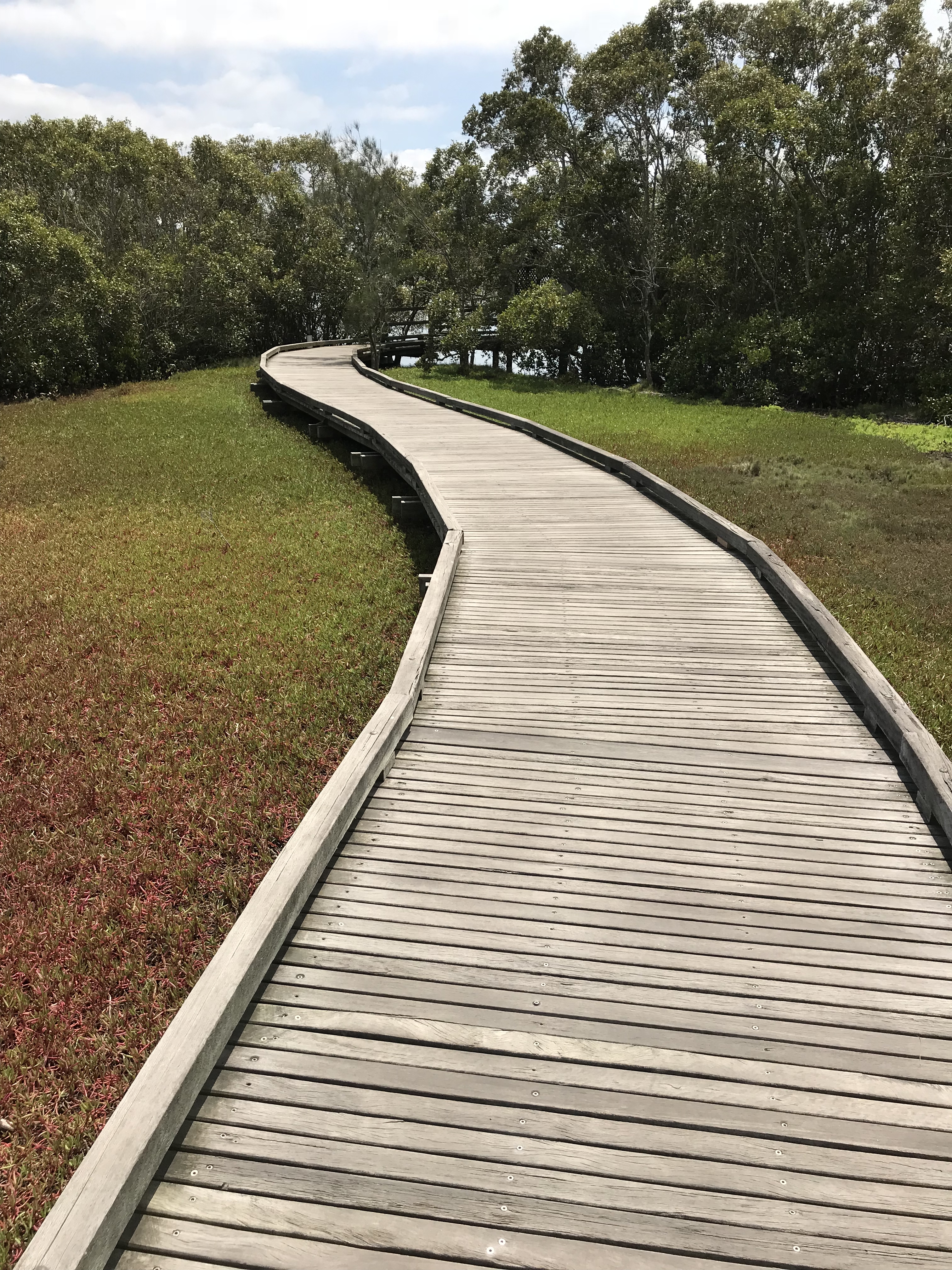 Boondall Wetlands