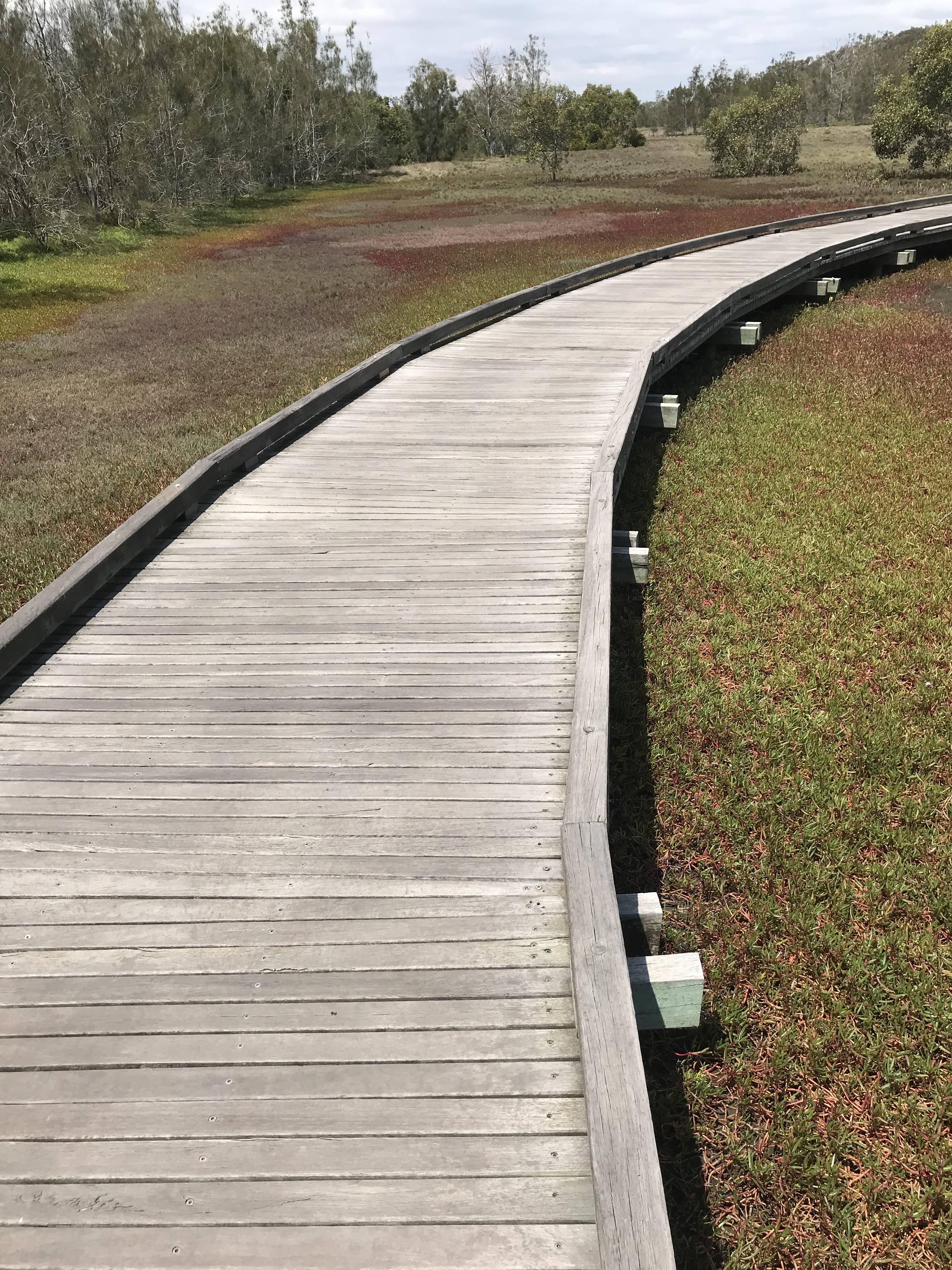 Boondall Wetlands