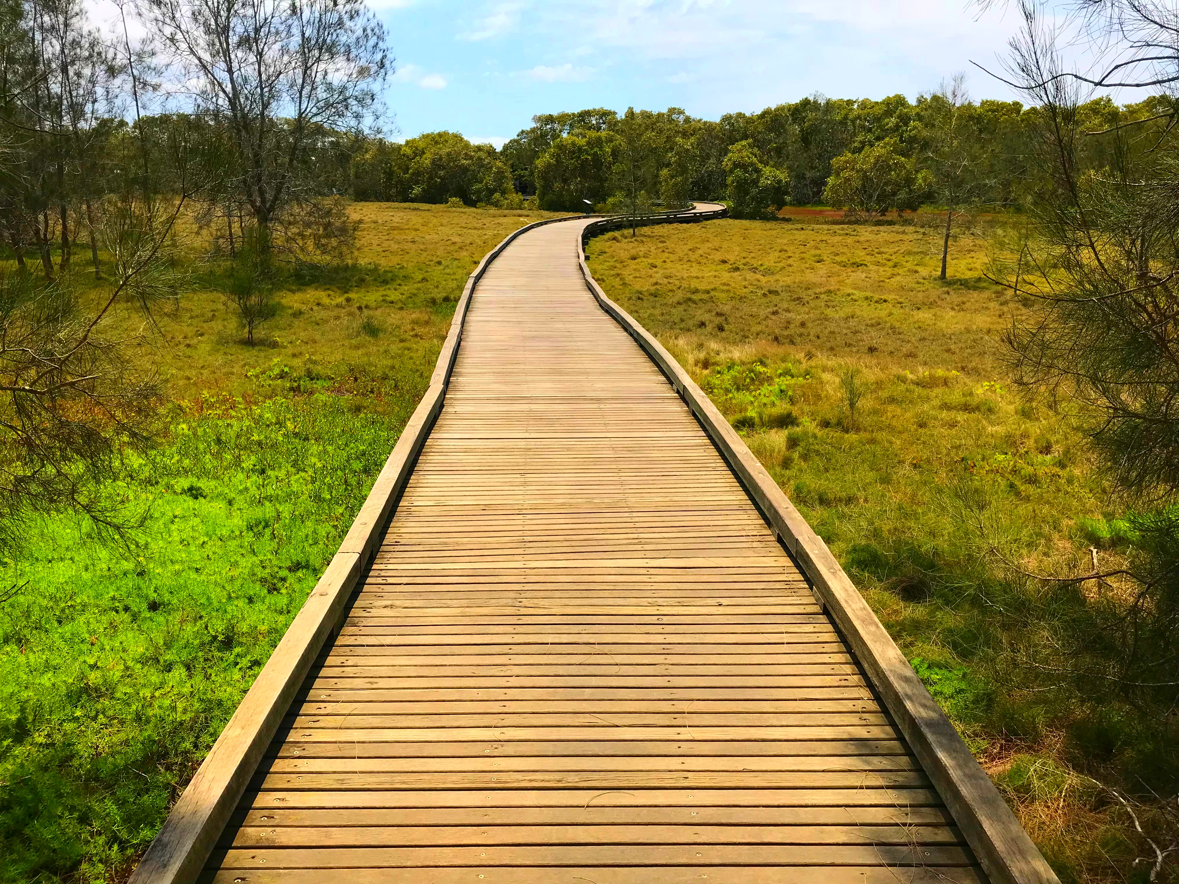 Boondall Wetlands