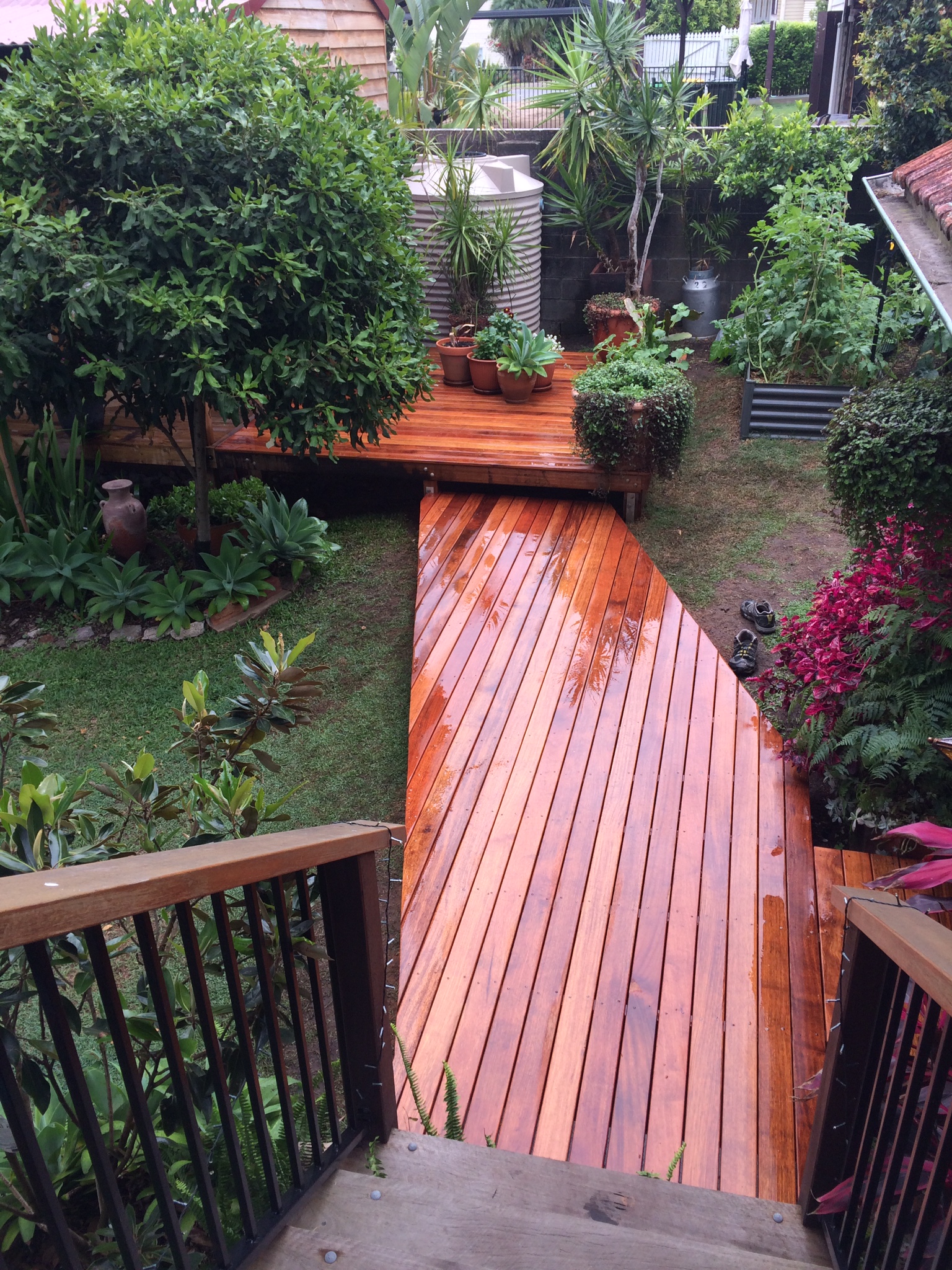 Spotted Gum decking