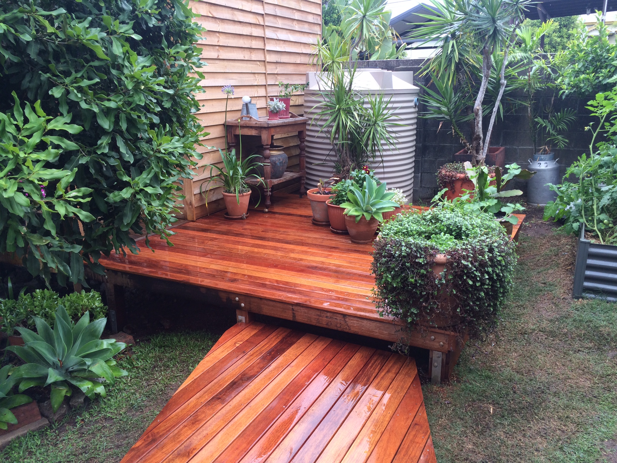 Spotted Gum decking